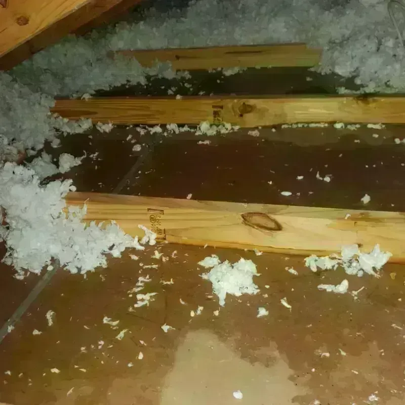 Attic Water Damage in Kittitas County, WA