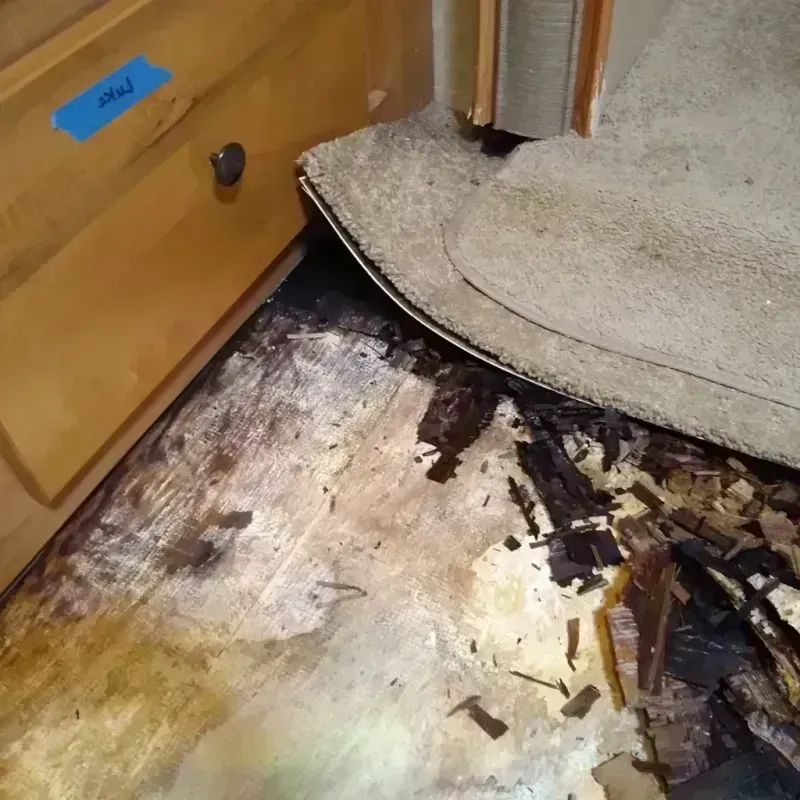 Wood Floor Water Damage in Kittitas County, WA